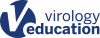 VE Logo