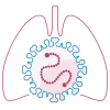 RSV Infection 2023